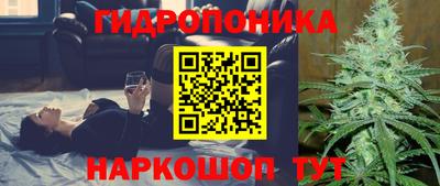 apvp Тверь
