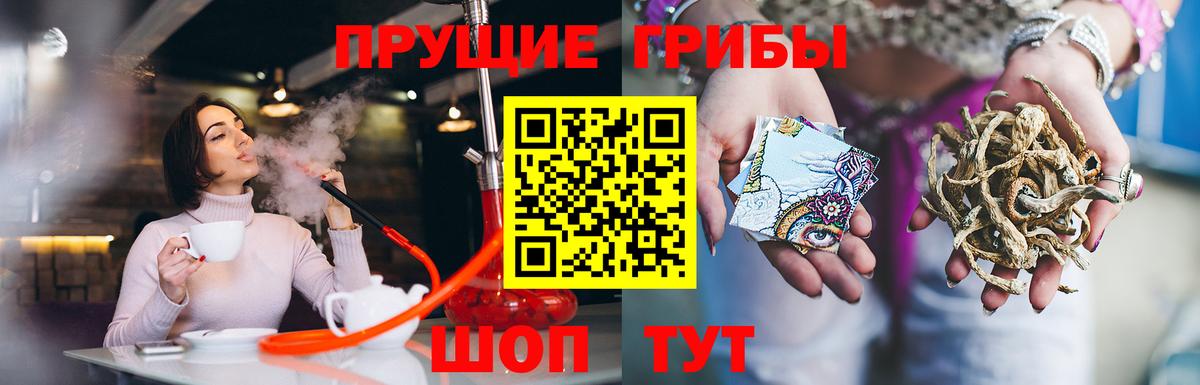 Галлюциногенные грибы прущие грибы  Вход с VPN  сколько стоит  Нефтекамск 
